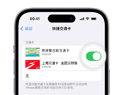 宜昌apple维修点分享iPhone上更换Apple Pay快捷交通卡手绘卡面 