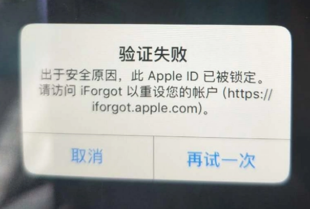 宜昌iPhone维修分享iPhone上正常登录或使用AppleID怎么办 