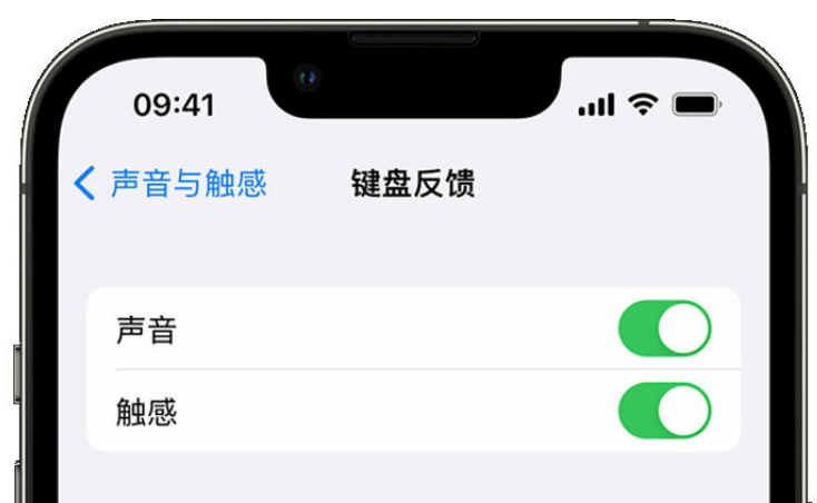 宜昌苹果手机维修分享iPhone 14触感键盘使用方法 