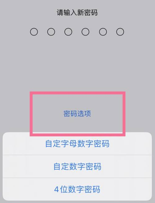 宜昌苹果14维修分享iPhone 14plus设置密码的方法 