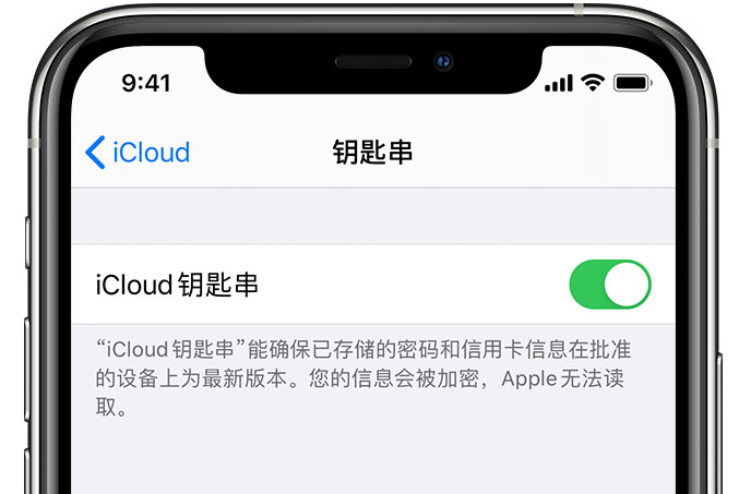 宜昌苹果手机维修分享在 iPhone 上开启 iCloud 钥匙串之后会储存哪些信息 