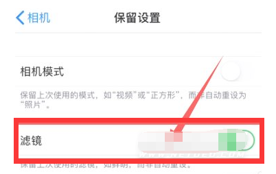 宜昌苹果13维修分享iPhone13拍照有绿点是怎么回事 