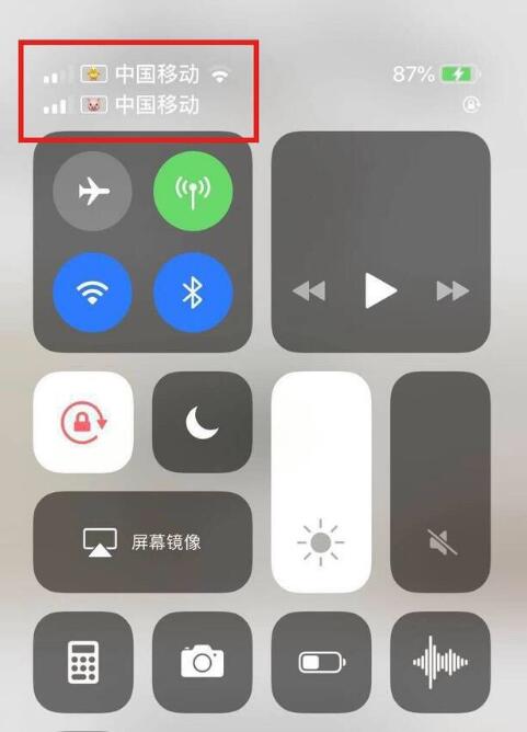宜昌苹果手机维修分享为 iPhone 12 双卡设置标签 